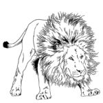 Raskrasil.com-Coloring-Pages-Lion-34
