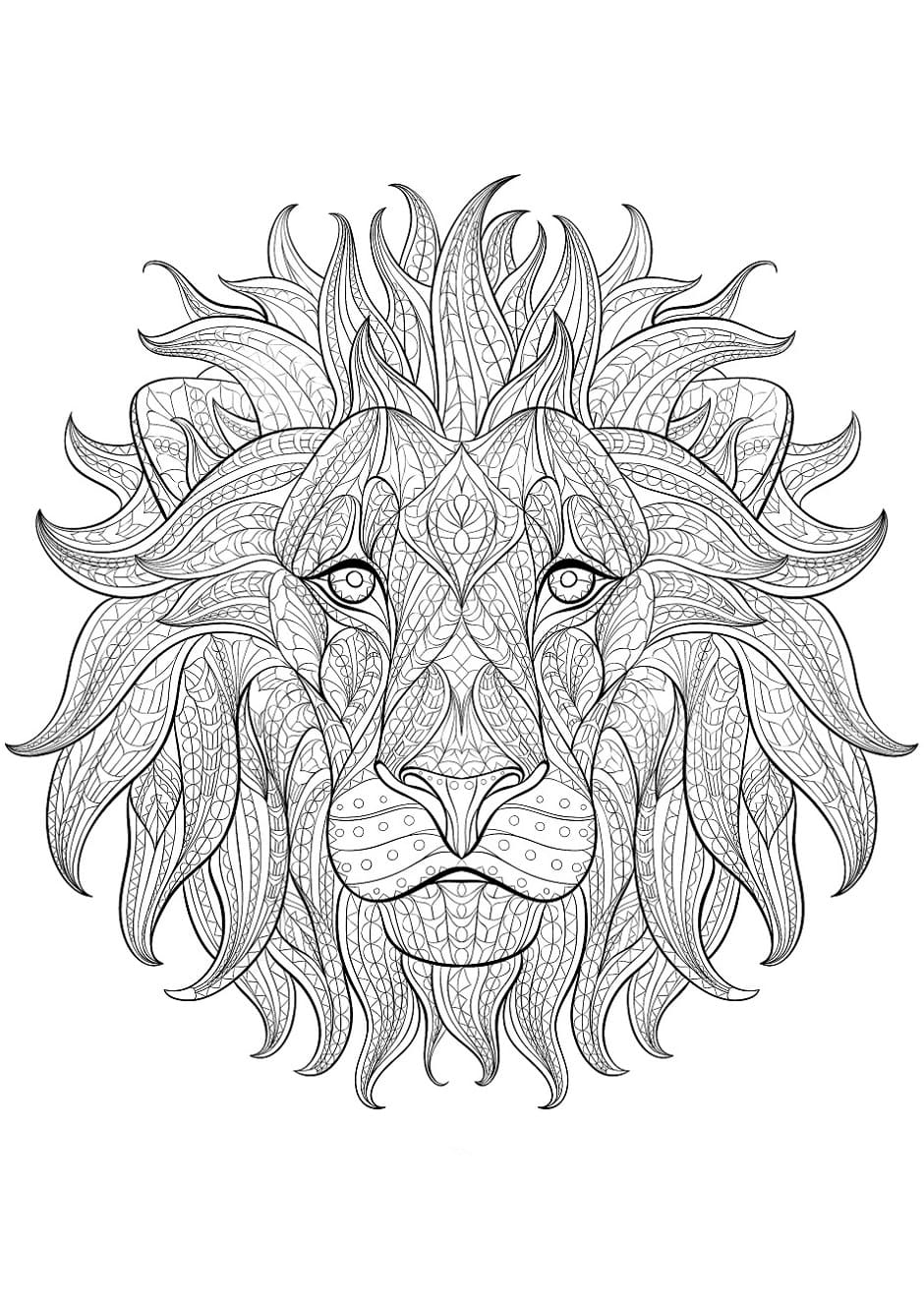 Raskrasil.com-Coloring-Pages-Lion-38