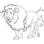 Raskrasil.com-Coloring-Pages-Lion-40