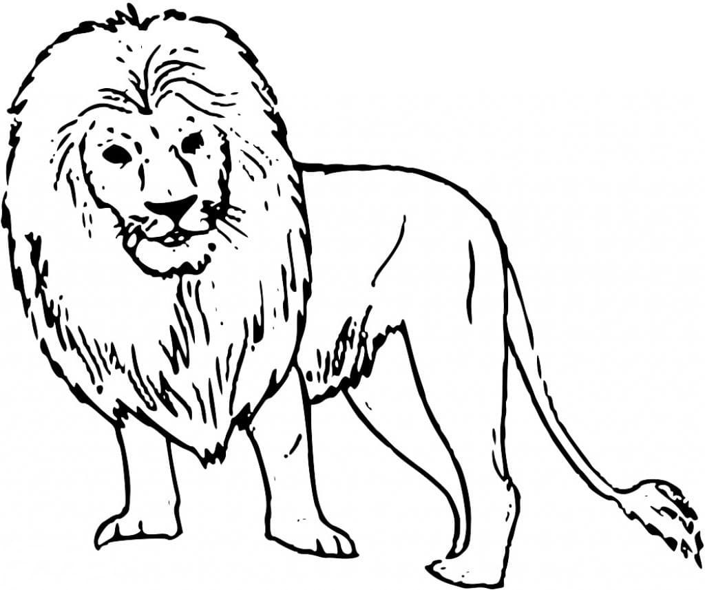 Raskrasil.com-Coloring-Pages-Lion-45