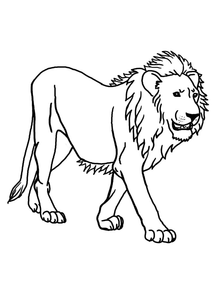 Raskrasil.com-Coloring-Pages-Lion-5