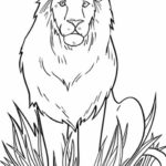 Raskrasil.com-Coloring-Pages-Lion-56