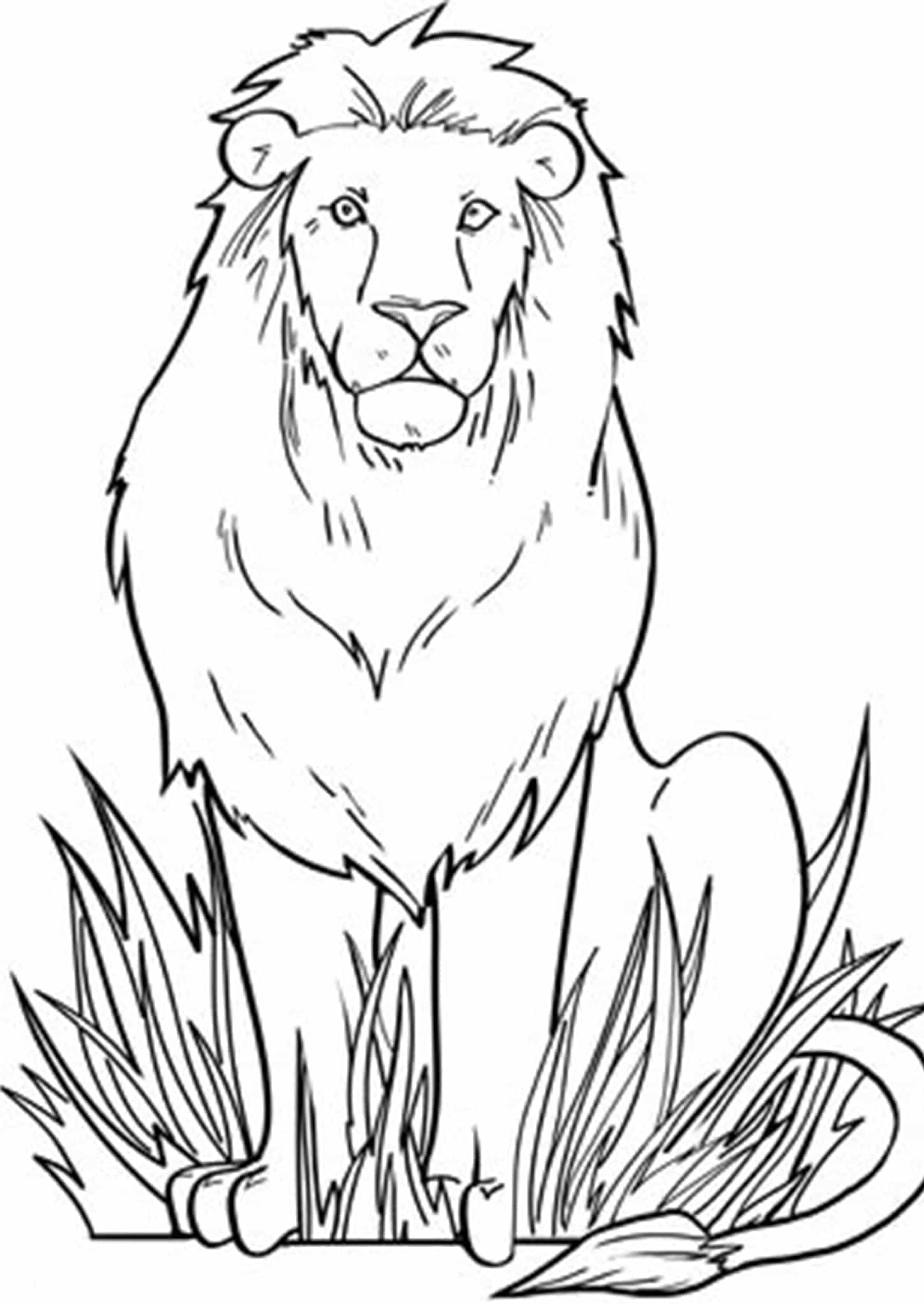 Raskrasil.com-Coloring-Pages-Lion-56