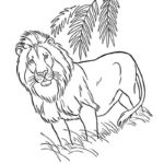 Previous Attachment
