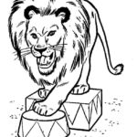 Raskrasil.com-Coloring-Pages-Lion-65