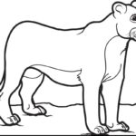 Raskrasil.com-Coloring-Pages-Lion-82