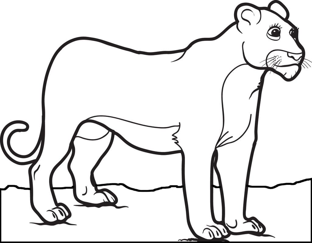 Raskrasil.com-Coloring-Pages-Lion-82
