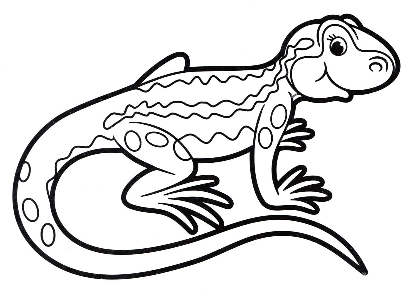 Lizard Coloring Pages 100 Pictures Free Printable
