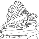 Raskrasil.com-Coloring-Pages-Lizard-14