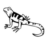 Raskrasil.com-Coloring-Pages-Lizard-2