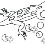 Raskrasil.com-Coloring-Pages-Lizard-28