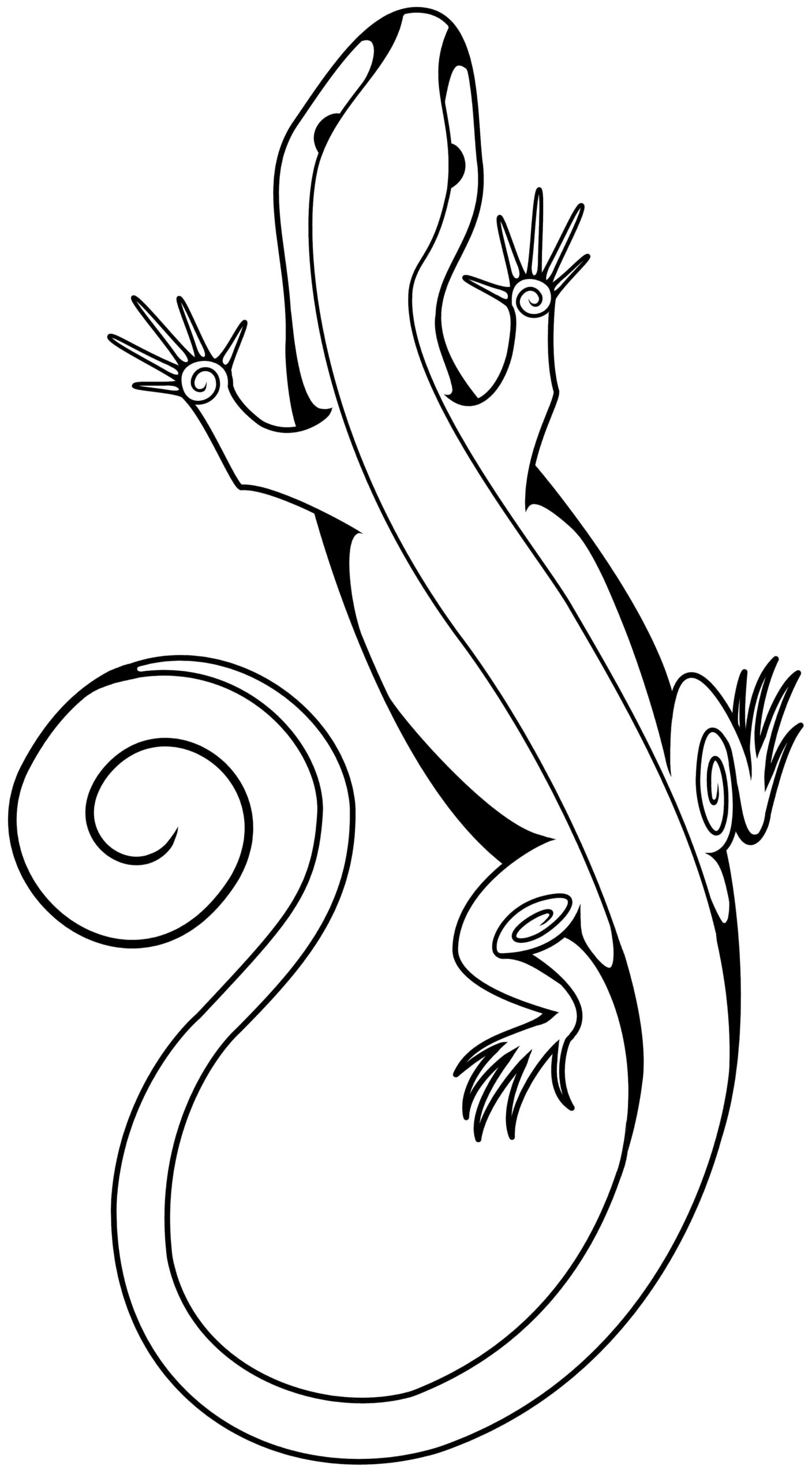 Raskrasil.com-Coloring-Pages-Lizard-3