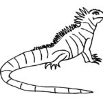 Raskrasil.com-Coloring-Pages-Lizard-33