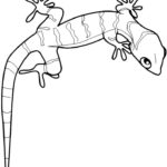 Raskrasil.com-Coloring-Pages-Lizard-36