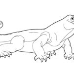 Raskrasil.com-Coloring-Pages-Lizard-49
