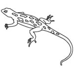 Raskrasil.com-Coloring-Pages-Lizard-51