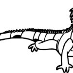Raskrasil.com-Coloring-Pages-Lizard-52