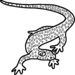 Raskrasil.com-Coloring-Pages-Lizard-54