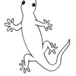 Raskrasil.com-Coloring-Pages-Lizard-55