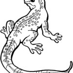 Raskrasil.com-Coloring-Pages-Lizard-56