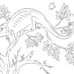 Raskrasil.com-Coloring-Pages-Lizard-64