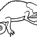 Raskrasil.com-Coloring-Pages-Lizard-65