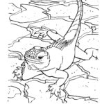 Raskrasil.com-Coloring-Pages-Lizard-7