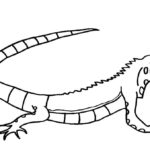 Raskrasil.com-Coloring-Pages-Lizard-70