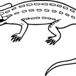 Raskrasil.com-Coloring-Pages-Lizard-77