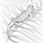 Raskrasil.com-Coloring-Pages-Lizard-80