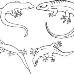 Raskrasil.com-Coloring-Pages-Lizard-89
