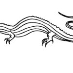 Raskrasil.com-Coloring-Pages-Lizard-9