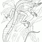 Raskrasil.com-Coloring-Pages-Lizard-90