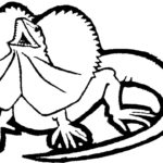 Raskrasil.com-Coloring-Pages-Lizard-93