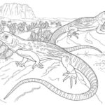 Raskrasil.com-Coloring-Pages-Lizard-95