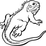 Raskrasil.com-Coloring-Pages-Lizard-96