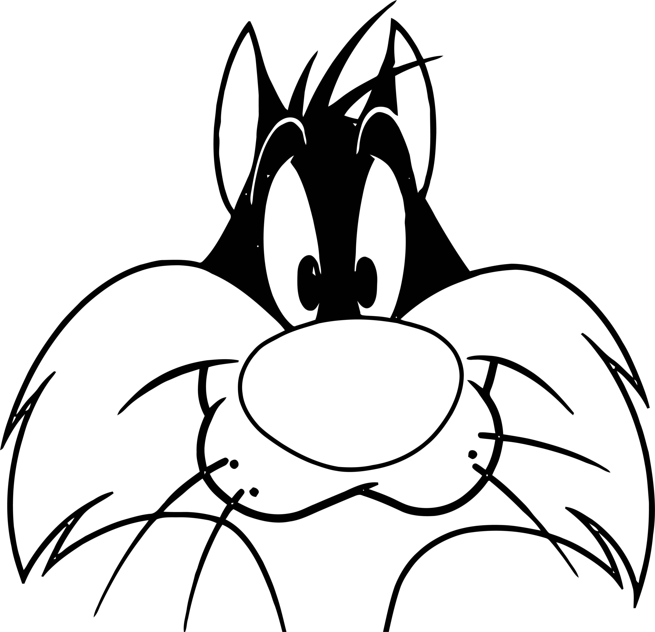 Raskrasil.com-Coloring-Pages-Looney-Tunes-111