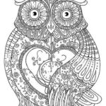 Previous Attachment