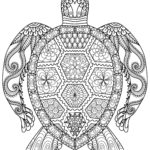 Raskrasil.com-Coloring-Pages-Mandala-19