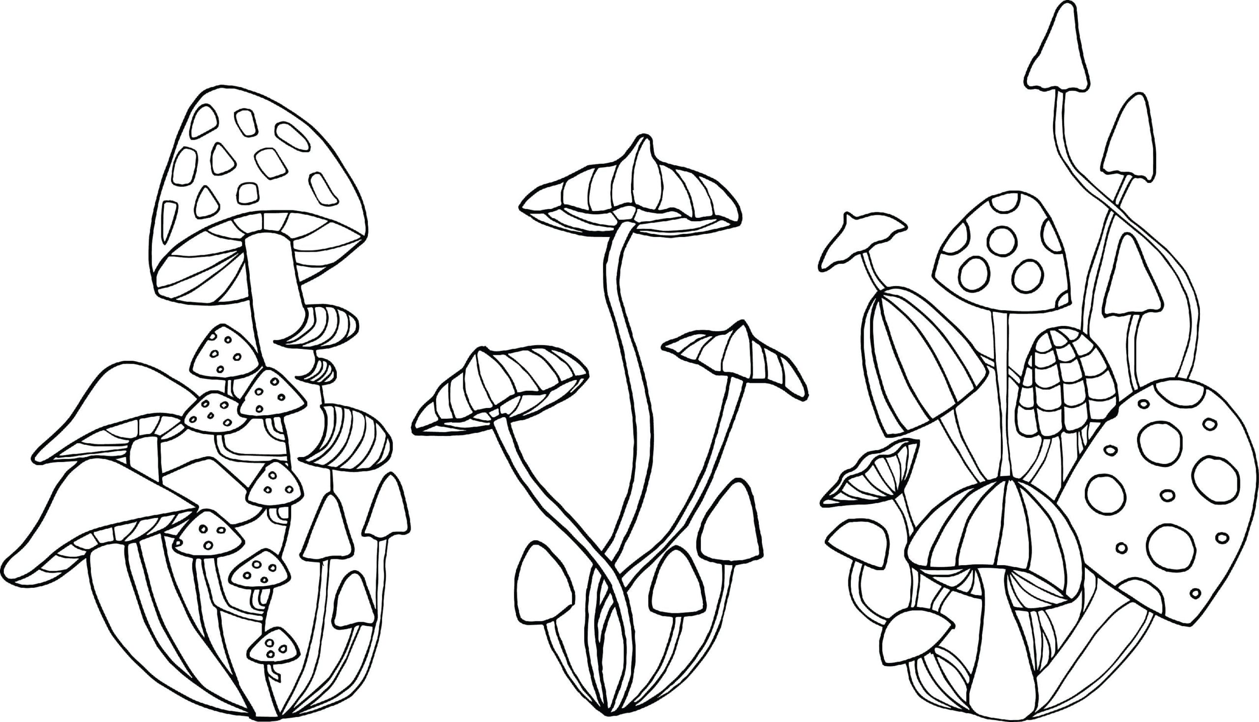 Raskrasil.com-Coloring-Pages-Mushrooms-106