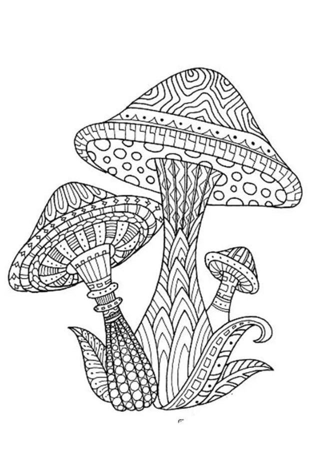 Raskrasil.com-Coloring-Pages-Mushrooms-107