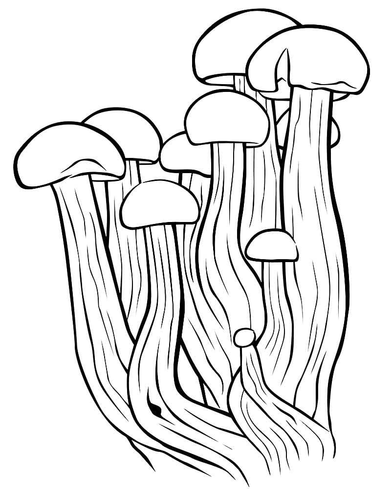 Raskrasil.com-Coloring-Pages-Mushrooms-23