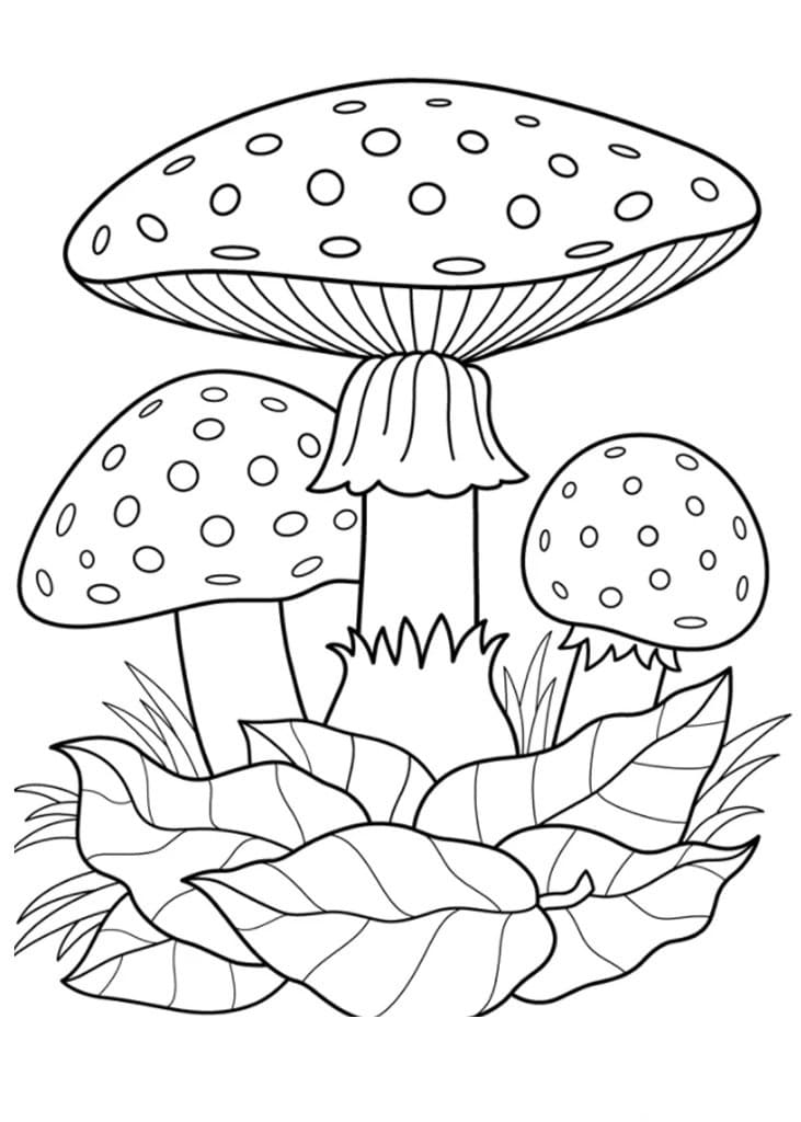 Raskrasil.com-Coloring-Pages-Mushrooms-26