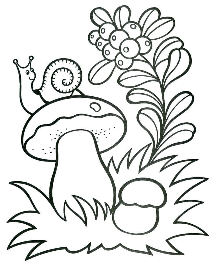 Raskrasil.com-Coloring-Pages-Mushrooms-29