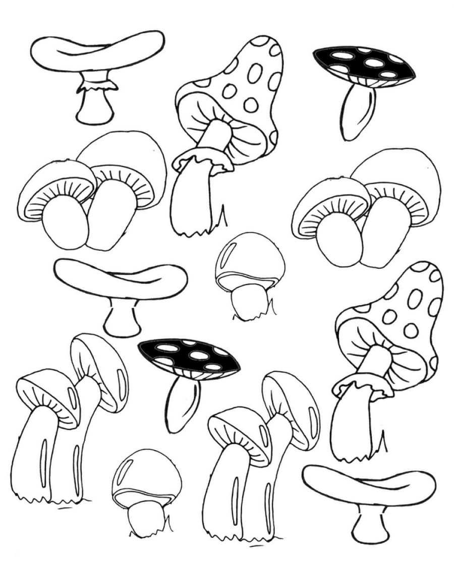 Raskrasil.com-Coloring-Pages-Mushrooms-30