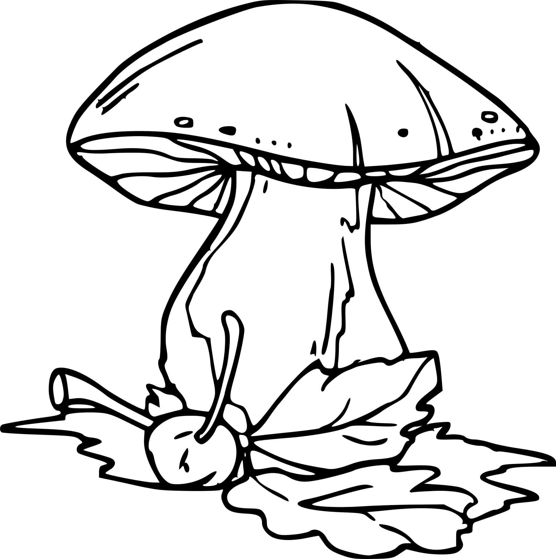 Raskrasil.com-Coloring-Pages-Mushrooms-53