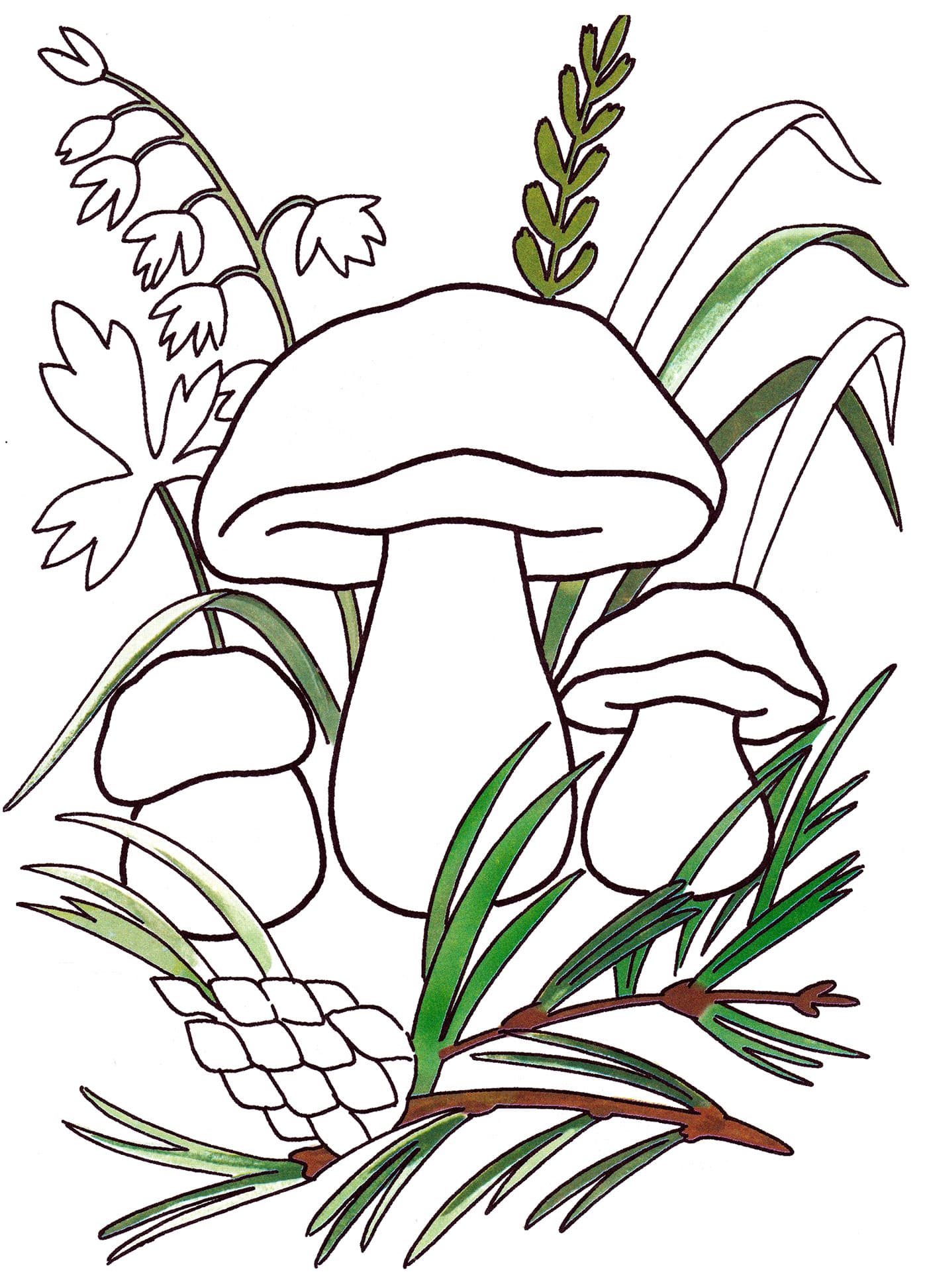 Raskrasil.com-Coloring-Pages-Mushrooms-54
