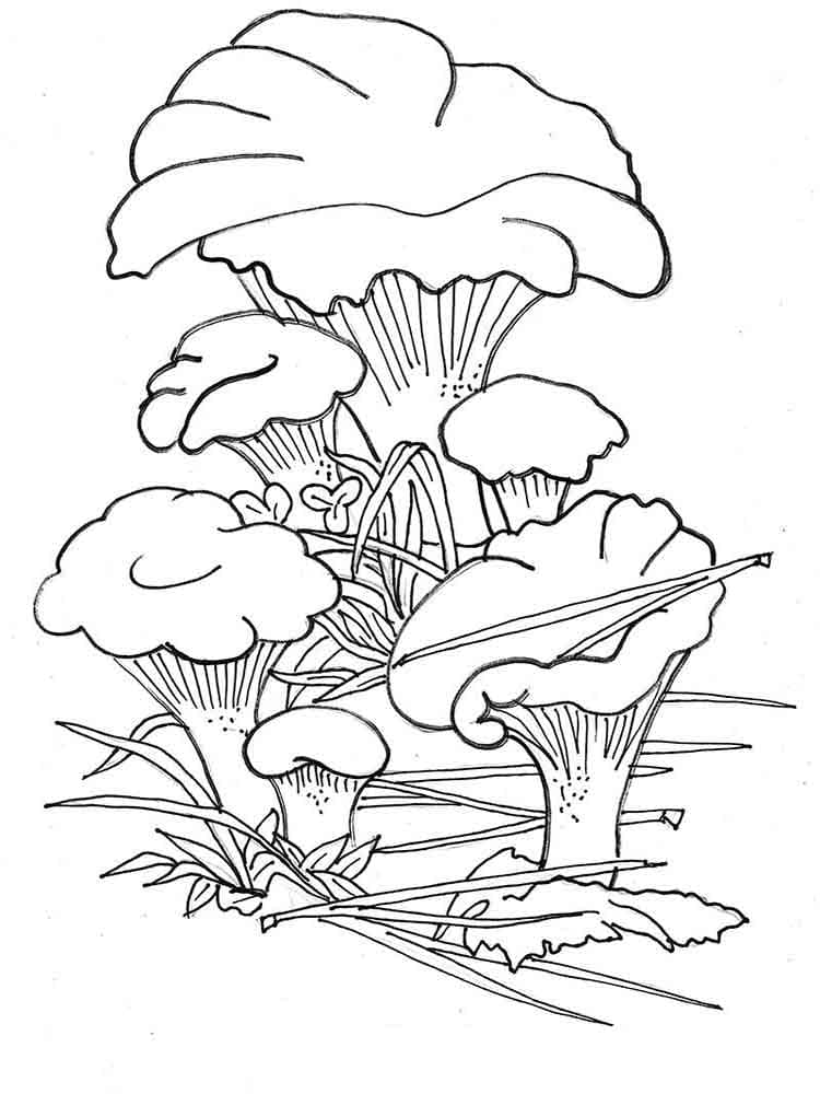 Raskrasil.com-Coloring-Pages-Mushrooms-58