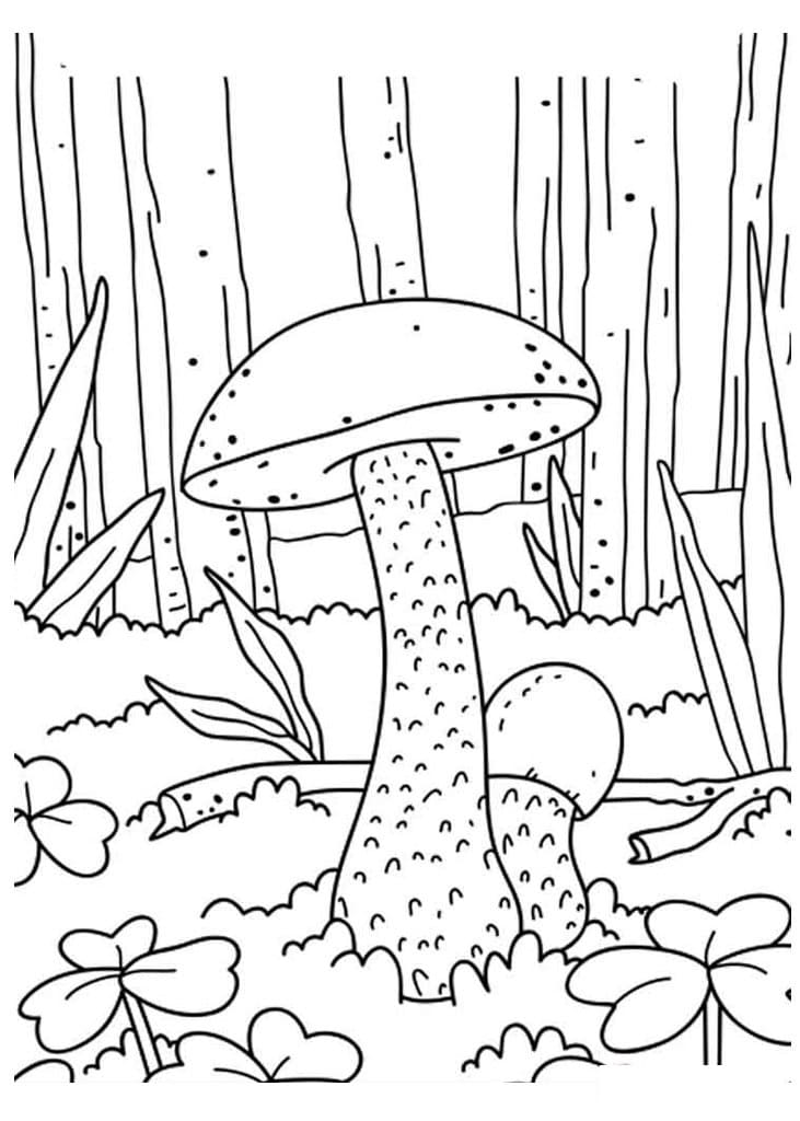 Raskrasil.com-Coloring-Pages-Mushrooms-60