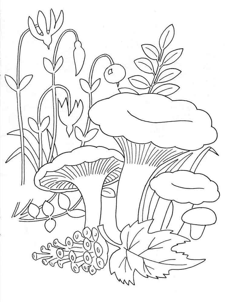 Raskrasil.com-Coloring-Pages-Mushrooms-66
